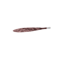 Typhleotris