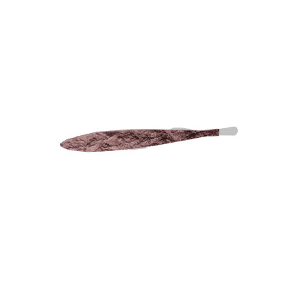 Typhleotris