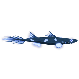 Velvet Belly Lanternshark