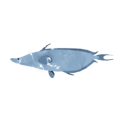 Verdant Spiritfish