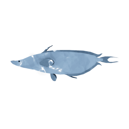 Verdant Spiritfish