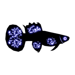 Voidscale Guppy