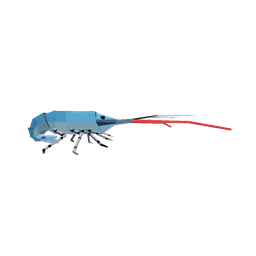 Western Rock Lobster
