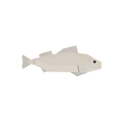 White Perch