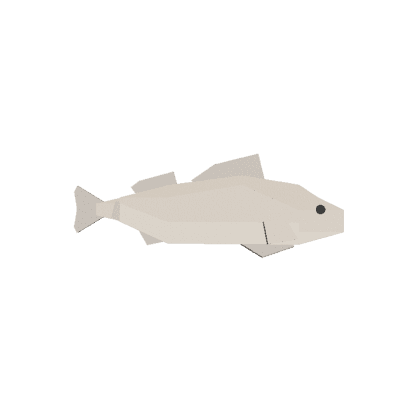 White Perch