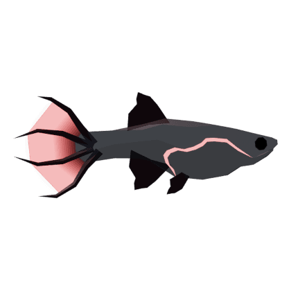 Wretched Guppy