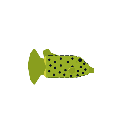 Yellow Boxfish