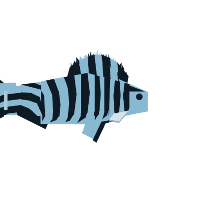 Zebrafishlet