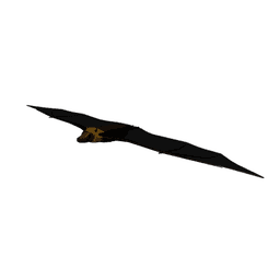 Bat Glider