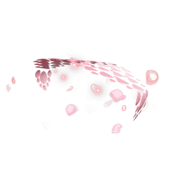 Sakura Soarer