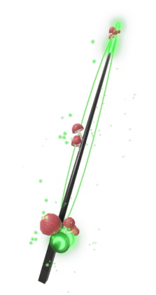Fungal Rod