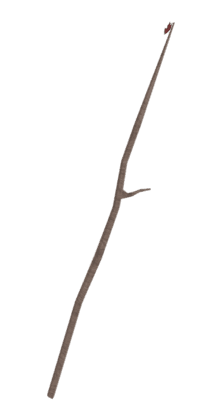 The Twig