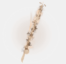 Dead Trident