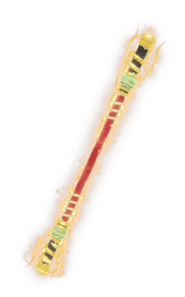 Sage of Heaven's Staff