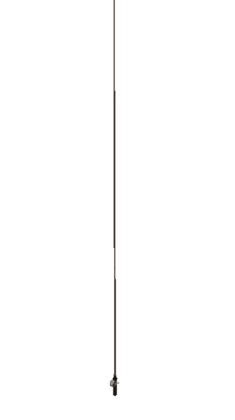 The Longest One
