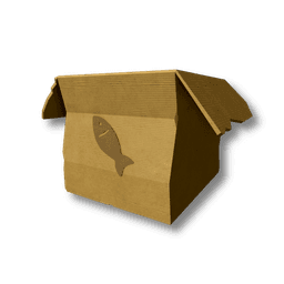 Cardboard Box