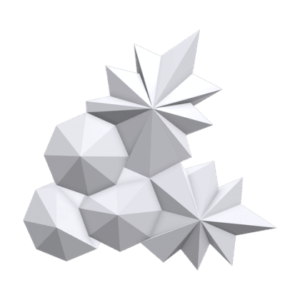 Silver Holly