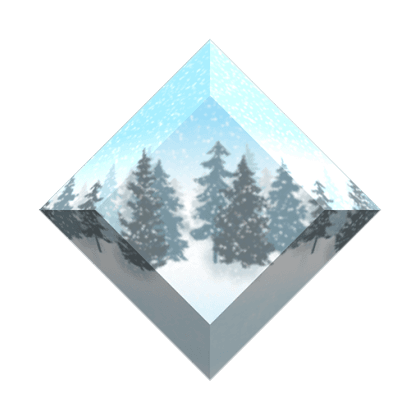 Snowy Forest