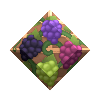 Vineyard