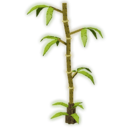 Bamboo Tree