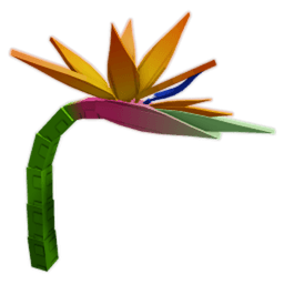 Birds of Paradise