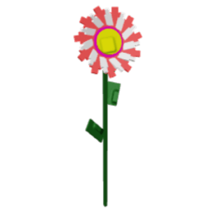 Candy Sunflower