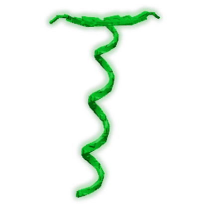 Coilvine
