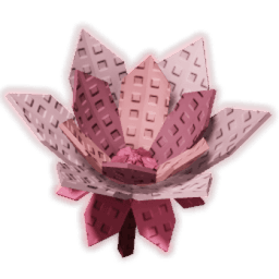 Cyclamen