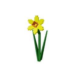 Daffodil