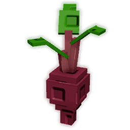 Evo Beetroot II