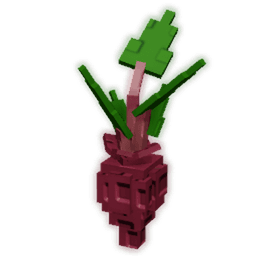 Evo Beetroot III