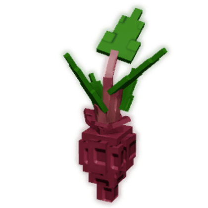 Evo Beetroot III