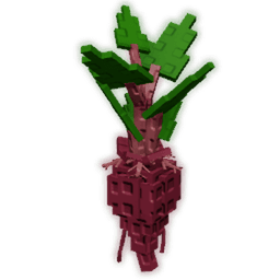 Evo Beetroot IV