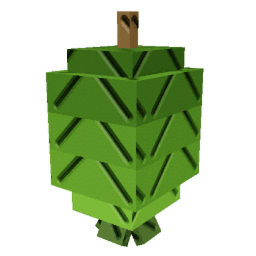 Feijoa