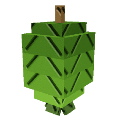 Feijoa