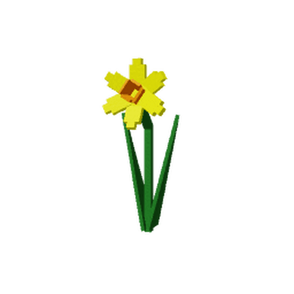 Honey Daffodil
