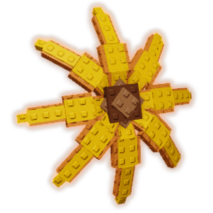 Honey Sunflower