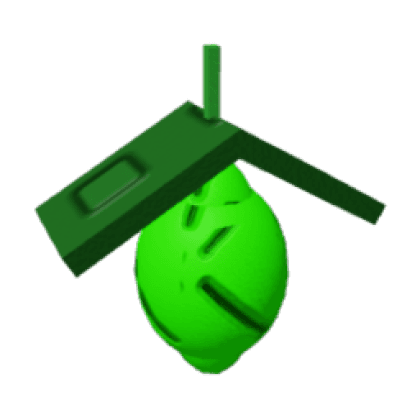 Lime