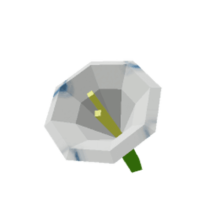 Moonflower