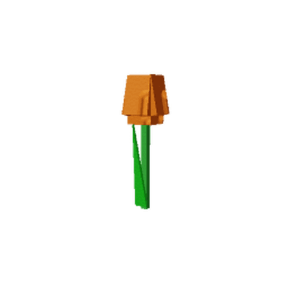 Orange Tulip