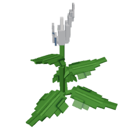 Peace Lily