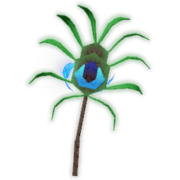 Peacock Tail