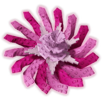 Pinkside Dandelion