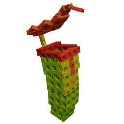 Pitcher Plant