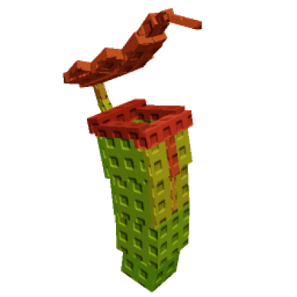 Pitcher Plant
