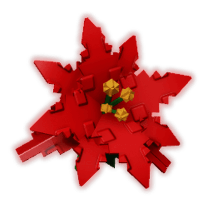 Poinsettia