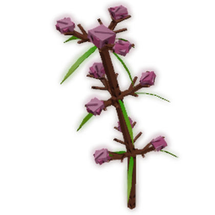 Speargrass