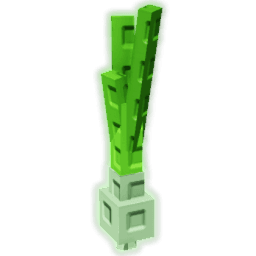 Spring Onion