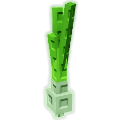 Spring Onion