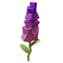 Sugar Snapdragon